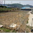 포항시남구37 이미지