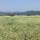 정산영농조합법인 이미지