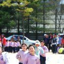 관저초등학교 이미지