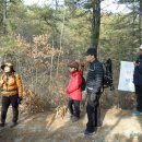 수원팔색길 수원둘레길 이미지