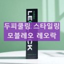 (주)레오솔루션 | 모블레오 레오락 두피 쿨링 다운펌 관리 사용 후기 알아보기