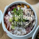 항아리 | &lt;속초점심맛집&gt; 재방문하려고 속초여행 왔지 속초 항아리물회 후기