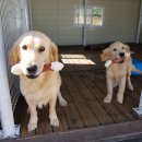 봉식이놀이터 이미지