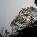 강*영