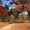 카네기무도장 이미지