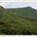 비산천 이미지