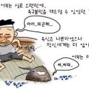 (펌) '앗싸! 가오리' 의 유래 이미지