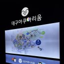 씨월드 피시 | 대구 실내데이트 &amp; 가족나들이 추천/신세계백화점 대구점 9층 ‘대구 아쿠아리움’ 후기
