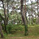 동호마을 이미지