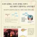 여우미헤어스파 네이버블로그