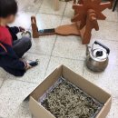대산초등학교병설유치원 이미지