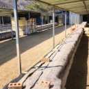 황영호농장 이미지