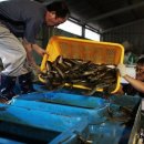 조은 고기 이미지