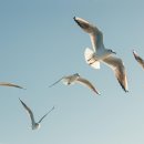 수지한의원 이미지