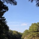 위미그라스 이미지