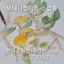 꽃그림 색연필화(보타니컬 아트) 이미지