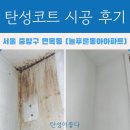 늘푸른동아 | 서울 중랑구 | 면목동 베란다 페인트 탄성코트 시공 후기 “늘푸른동아아파트” 베란다 오염제거