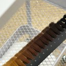 동남로 81길 | 🌿고덕역 염색 후기 | 조용한 1인샵 &#34;단비 헤드스파 앤 컬러&#34;에서 워터 힐링까지🍃