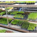 금호농약사 이미지