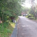 용인목재문화체험장 오감의숲 놀이터 이미지