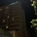 MELIA | [세비야 호텔 추천/마이리얼트립] 멜리아 세비야(Melia Sevilla) : 트윈베드룸 3박 후기 (조식 포함)