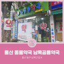 남목공룡약국 | [울산동물약국] 울산광역시 동구 동부동 남목공룡약국