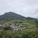 남해노지시금치 이미지