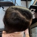 뉴샴푸 | 지성두피 맞춤 헤어케어, 더마힐 피디알샴푸+뉴트리션팩 사용 후기