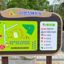 잣나무집 이미지