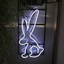 디어앨리스