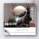 을지초교 | 을지다락 가로수길 뇨끼&amp;파스타 솔직후기