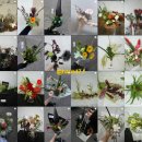 봉곡동107 | 창원꽃집 시티세븐! 첫인사 선물로 좋은 수입꽃 커스텀 꽃다발, 하우스 사칠