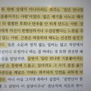 (주)앵콜스