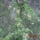 야산농장 이미지