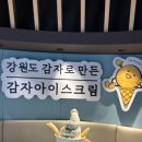 불그랑 | [양양여행] 흐린 날의 낙산해수욕장과 쏘타스위트 양양 그랑베이 후기/양양 정원이 예쁜 카페 '숲속의빈터'