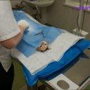 노상훈성형외과의원 이미지