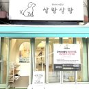 살랑살랑 펫미용 | [내돈내산] 분당 정자동 애견미용 추천 &#39;살랑살랑펫미용&#39; 만족 후기!
