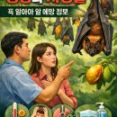 (주)수일개발 | 니파 바이러스 ,증상,치명률, 꼭 알아야 할 예방 정보