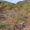 어진농장 이미지