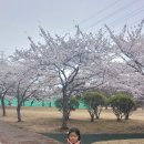 이디야광양체육관점