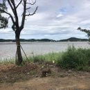 바다조망 최고 팬션펜션매매/안산시 대부도 바닷가 이미지