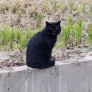 고용노동부익산지청 | [익산] 고순이감자탕 솔직후기 / 내돈내산 고구마순감자탕 라면사리 무한리필