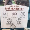 개거품그루밍 이미지