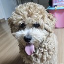 포유동물병원 이미지