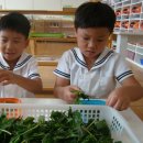 몬테소리유치원 이미지