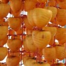 장성농장 이미지