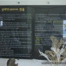 토산초교 2 이미지