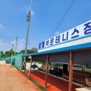 백운테니스