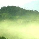 소나무세차장 이미지