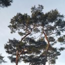 채연농장 이미지